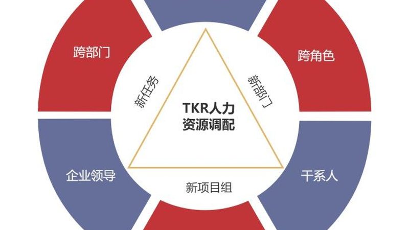入职前背景调查：时间规划与合规要点